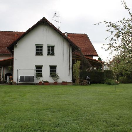 Krasny Apartman V Brane Luzickych Hor Cvikov Kültér fotó
