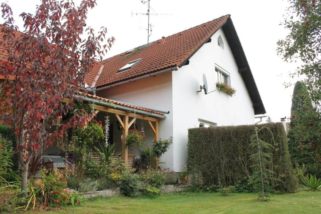 Krasny Apartman V Brane Luzickych Hor Cvikov Kültér fotó