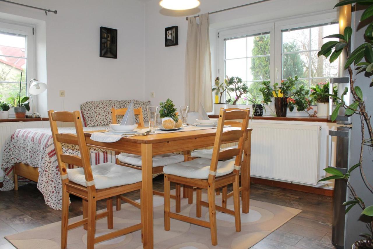 Krasny Apartman V Brane Luzickych Hor Cvikov Kültér fotó
