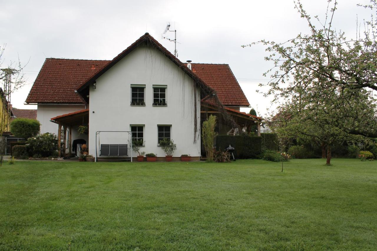 Krasny Apartman V Brane Luzickych Hor Cvikov Kültér fotó